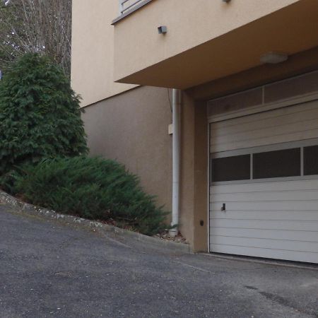 Zoe Apartman Heviz Bagian luar foto